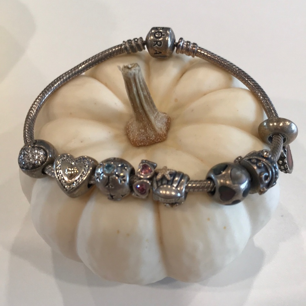 Pandora Charm Bracelet